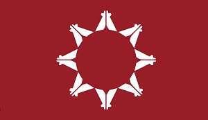 Lakota Nation flag
