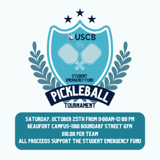 Pickle Ball Tournament