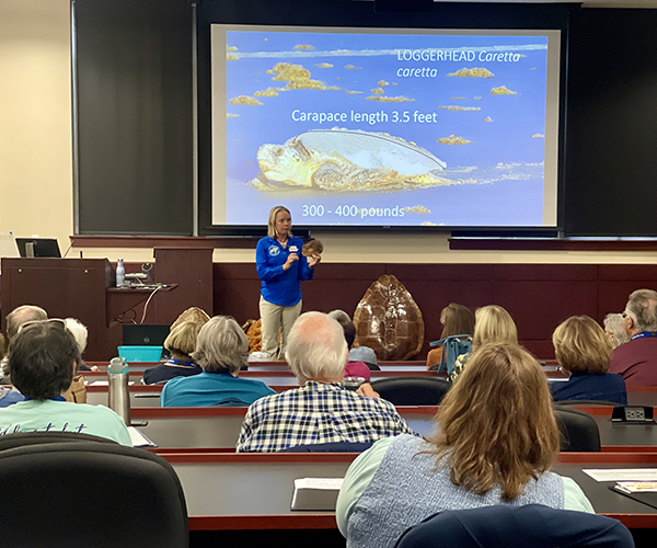 OLLI lecture sea turtles OLLI lecture sea turtles