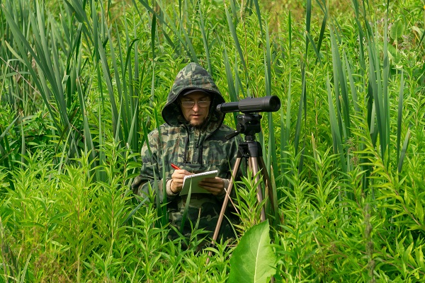 Zoologist with Telescope in Bushes