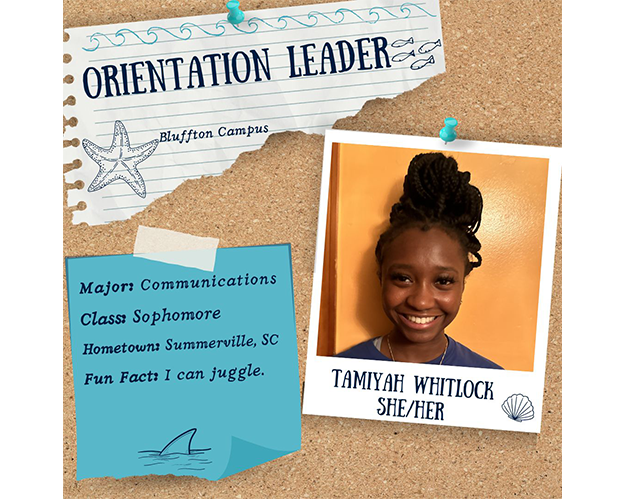 Orientation Leader 24