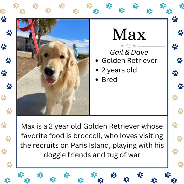 Max. Gail & Dave. Golden Retriever. 2 years old. Bred. Max is 2 years old Golden Retriever whose favorite food is broccoli, who loves visiting the recruits on Parris Island, playing with his doggie friends and tug of war.