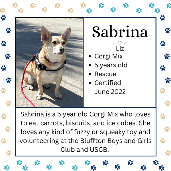 Sabrina. Liz. Corgi Mix. 5 year old. Rescue. Certified June 2022. Sabrina is a 5 year old Corgi Mix who loves to eat carrots, biscuits, and ice cubes. She loves any kind of fuzzy or squeaky toy and volunteering at the Bluffton Boys and Girls Club at USCB.  