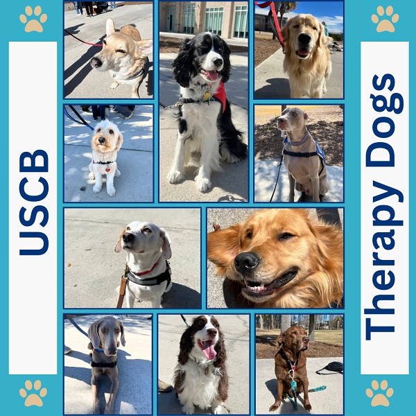 Graphic featuring all USCB Therapy Dogs