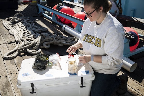 Tori Sember plates bacteria collected from a shark. Photo credit: Chris Ross/OCEARCH