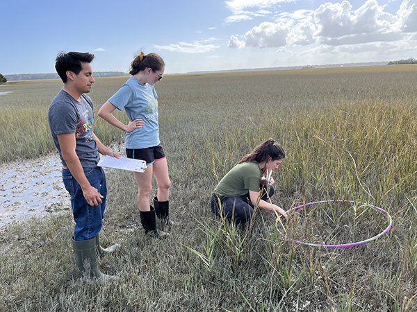 Experiential Education Marsh